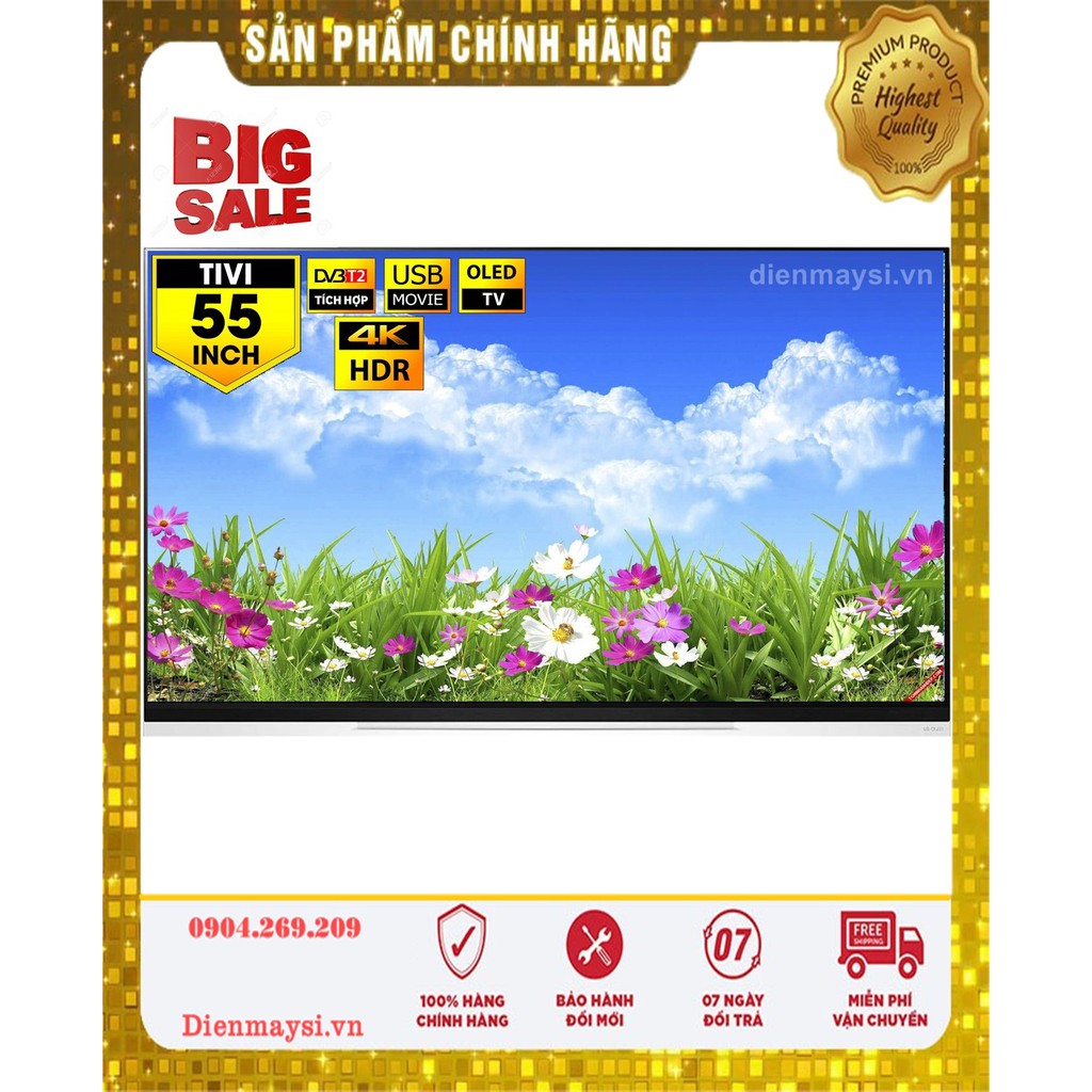 Smart Tivi OLED LG 4K 55 inch 55E9PTA Mẫu 2019(Miễn phí giao tại HCM-ngoài tỉnh liên hệ shop)