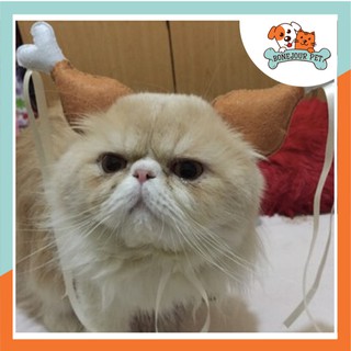 Mũ Chân Gà hài Hước cho Chó Mèo