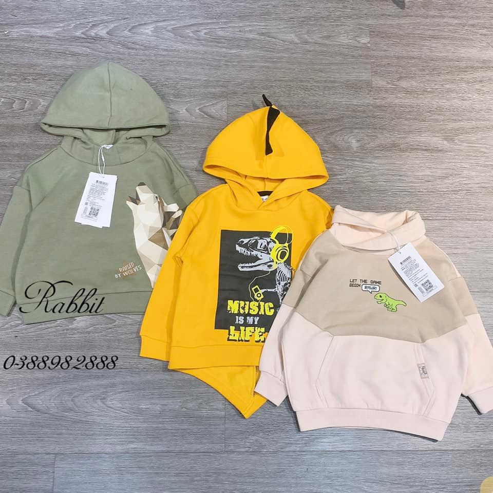 Áo nỉ hoodie