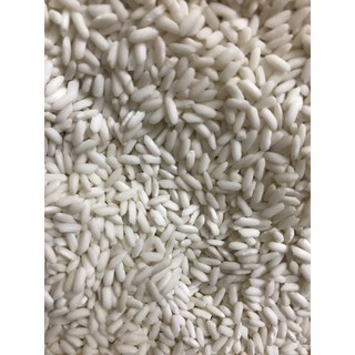freeship 1 kg Gạo nếp Thái gạo nếp hạt dài