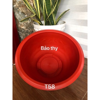 Chậu nhựa bít lổ trồng sen 3 cái T58 đỏ gạch dày dặn