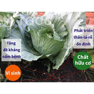 Phân trùn quế cao cấp Vermy 1kg