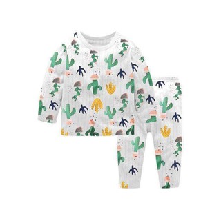 Bộ Cotton giấy (combo)