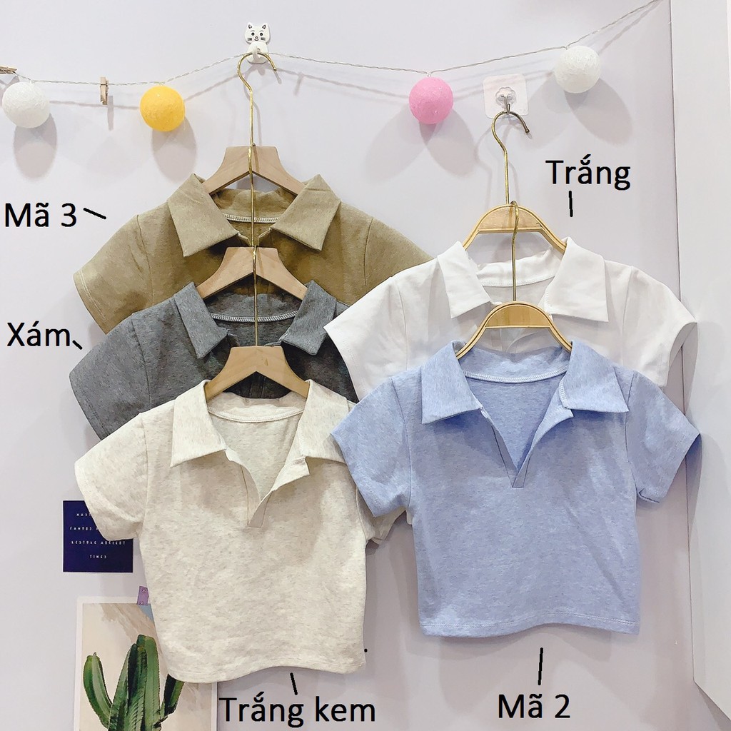 [Mã WASTUP giảm 10% tối đa 30K đơn 99K] ÁO THUN CROPTOP NGẮN - ÁO KIỂU CRT ULZANG NGẮN TAY TRƠN BASIC CỔ BẺ PETER 137 | BigBuy360 - bigbuy360.vn