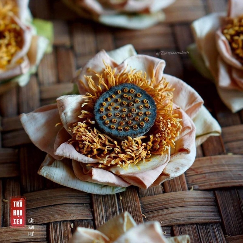 Trà Hoa Sen Huế Sấy Lạnh/Thăng Hoa - Hộp 5 bông