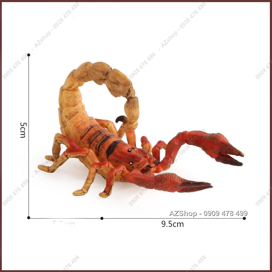 Mô Hình Côn Trùng Bọ Ngựa Bọ Hung Bọ Cạp Chuồn Chuồn Ong Bắp Cày - 7709.3