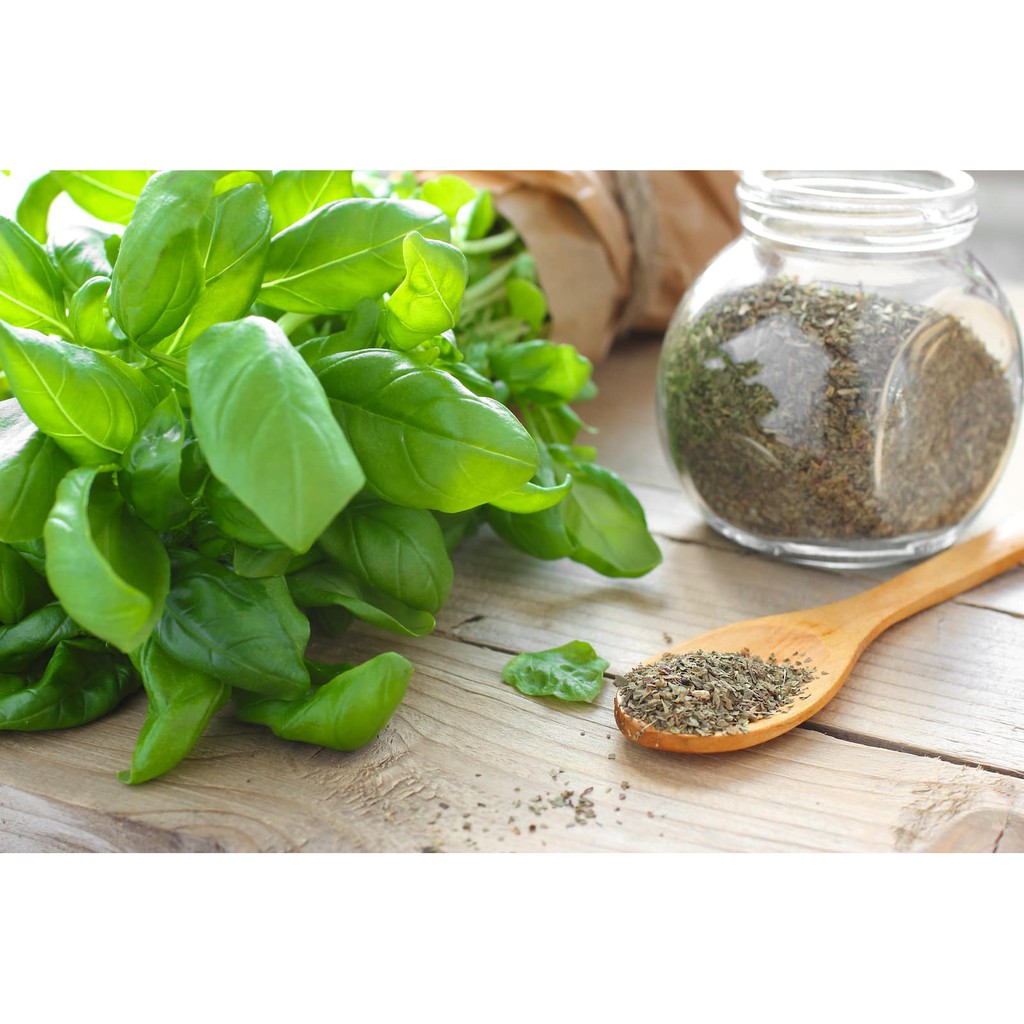 [HÀNG CHÍNH HÃNG] Lá Basil Khô Ý 10gr