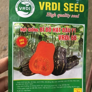 Hạt giống bí đỏ bí ngô siêu quả F1