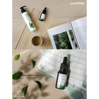 SERUM TẢO BIỂN - SEAWEED SERUM