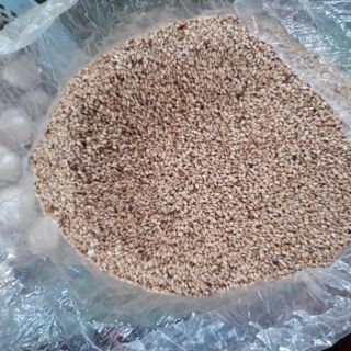 Hạt vừng ( hạt mè) 500gr đã bóc vỏ