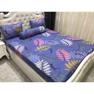 Bộ 4 món thun hàn quốc
