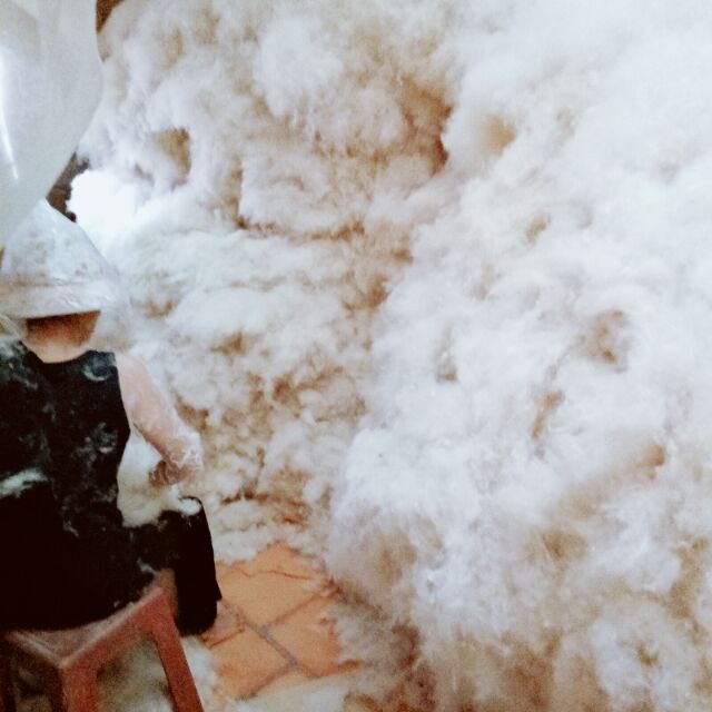 Bông Gòn Trái Tự Nhiên 100% ko pha tạp chất 1 ký 119k