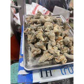 Củ Tam Thất Bắc 500Gr [hàng 52củ/1kg]