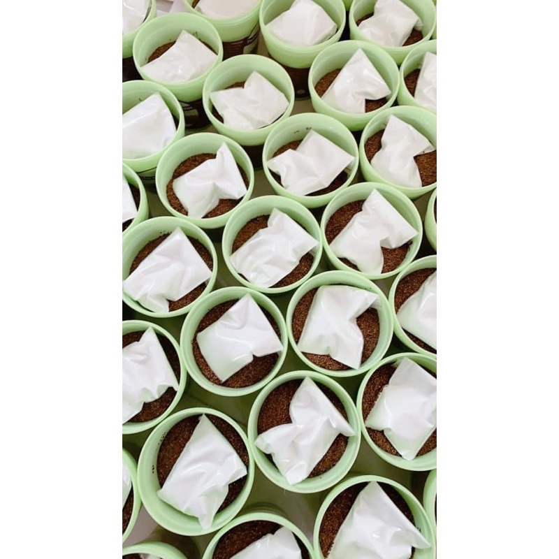 NẠ HẠT KIM ĐÌNH KIMNATURAL