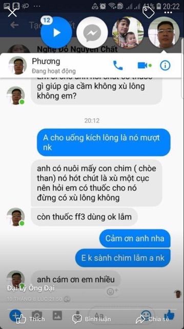 Kích lông siêu tốc cho chiến kê