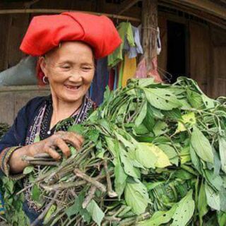 Lá tắm sau sinh dân tộc Dao đỏ (1kg/gói)