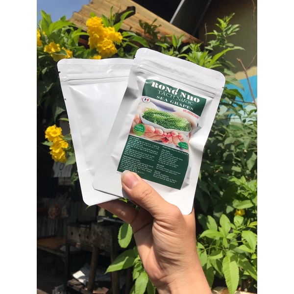 [Mã 267FMCGSALE giảm 8% đơn 500K] rong biển | Rong Nho Tách nước Gói 100g + KÈM XỐT MÈ RANG 15ml | BigBuy360 - bigbuy360.vn
