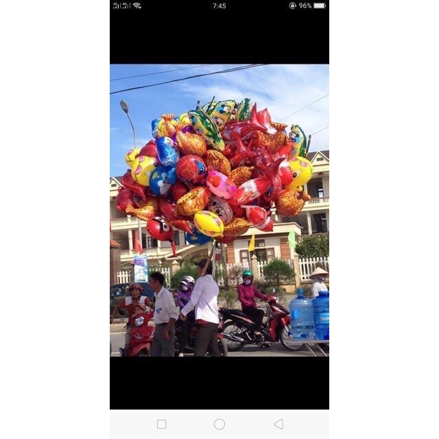 Bóng bay con giống,hình thú