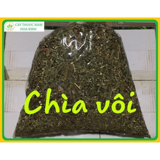 Cây chìa vôi khô 1 kg hỗ trợ đau xương khớp thoát vị đĩa đệm