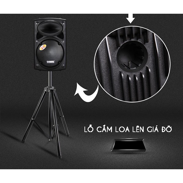 Loa Kéo Temeisheng 297 loa bass siêu trầu