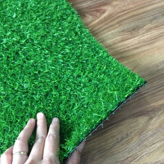 [ 1M x 1M ] Tấm cỏ nhựa - Thảm cỏ nhân tạo đế dày cao cấp