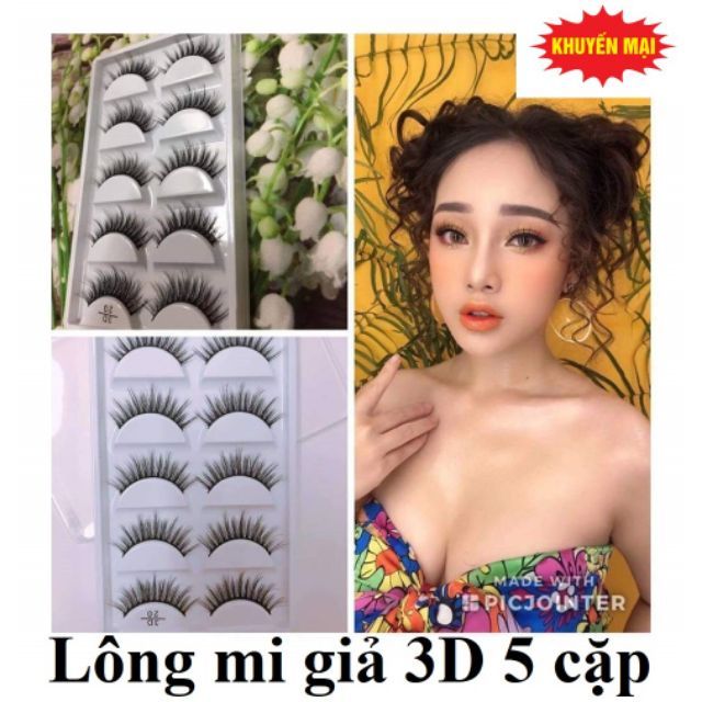 Mi giả 3D 5 cặp cao cấp chính hãng HALOMI giá sỉ