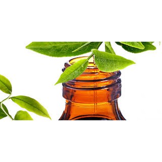 Tinh dầu xông hương trà xanh lọ 10ml