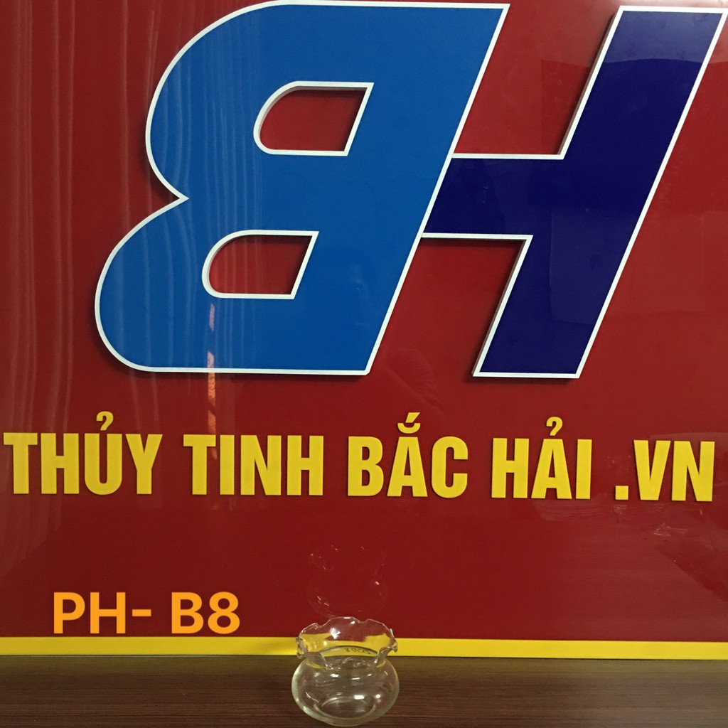 Mẫu Bèo Bầu Thủy Tinh Nuôi Cá - B8