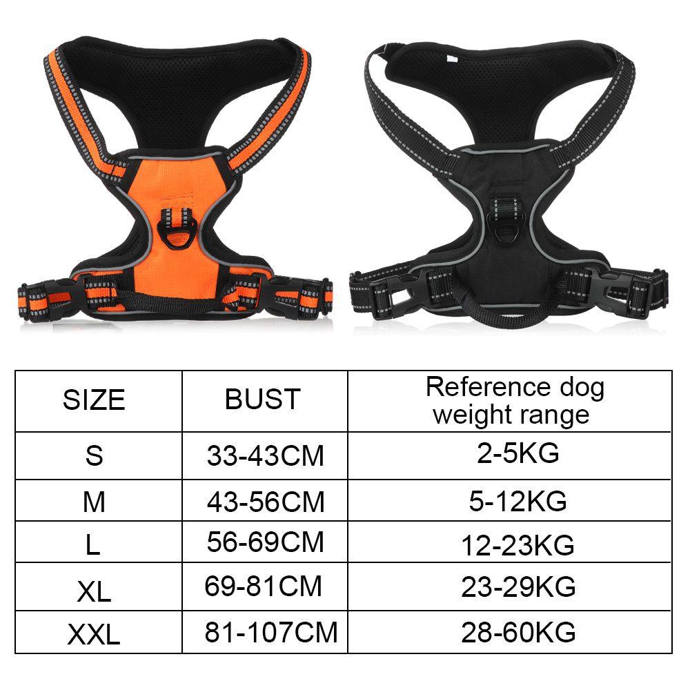 Áo Vest Kèm Dây Dắt Cún Cưng Cỡ Nhỏ LAYOR1