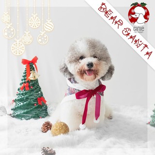 Áo choàng Noel cho thú cưng