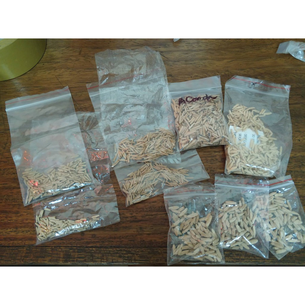 Hạt giống hoa sứ kép mix màu Aconda-Somalen-Kim tử tháp-cánh kép màu lai