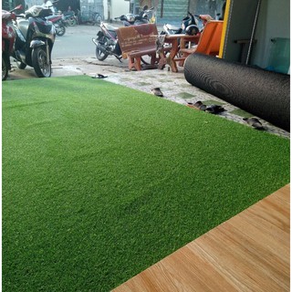 Combo 20 m2 ( mét vuông ) thảm cỏ nhân tạo sân vườn sợi nhựa kim 2 cm Đế không bụi đen