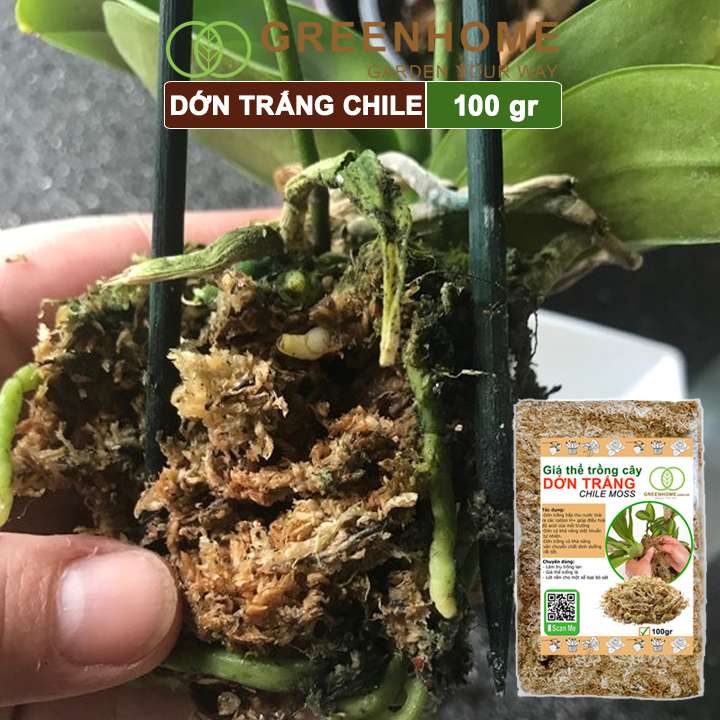 Giá thể dớn trắng Greenhome, gói 100gr, đã qua xử lý, giữ ẩm tốt, kháng khuẩn tự nhiên, trồng lan, kiểng lá