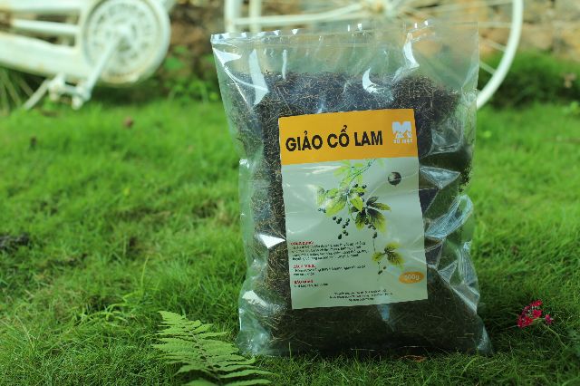 Giảo cổ lam 5 lá