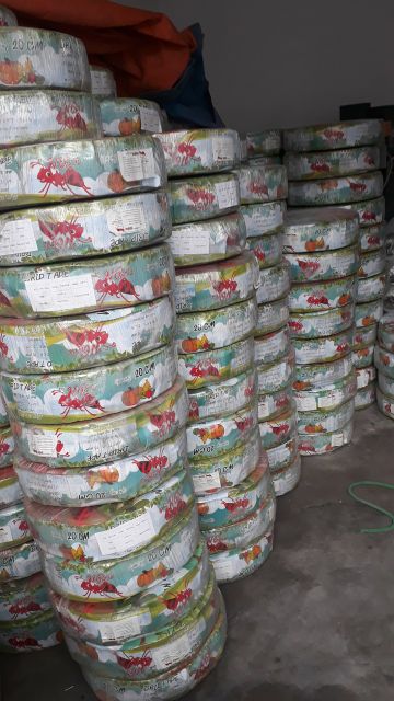 Dây tưới nhỏ giọt dày 0.15mm khoảng cách 20cm