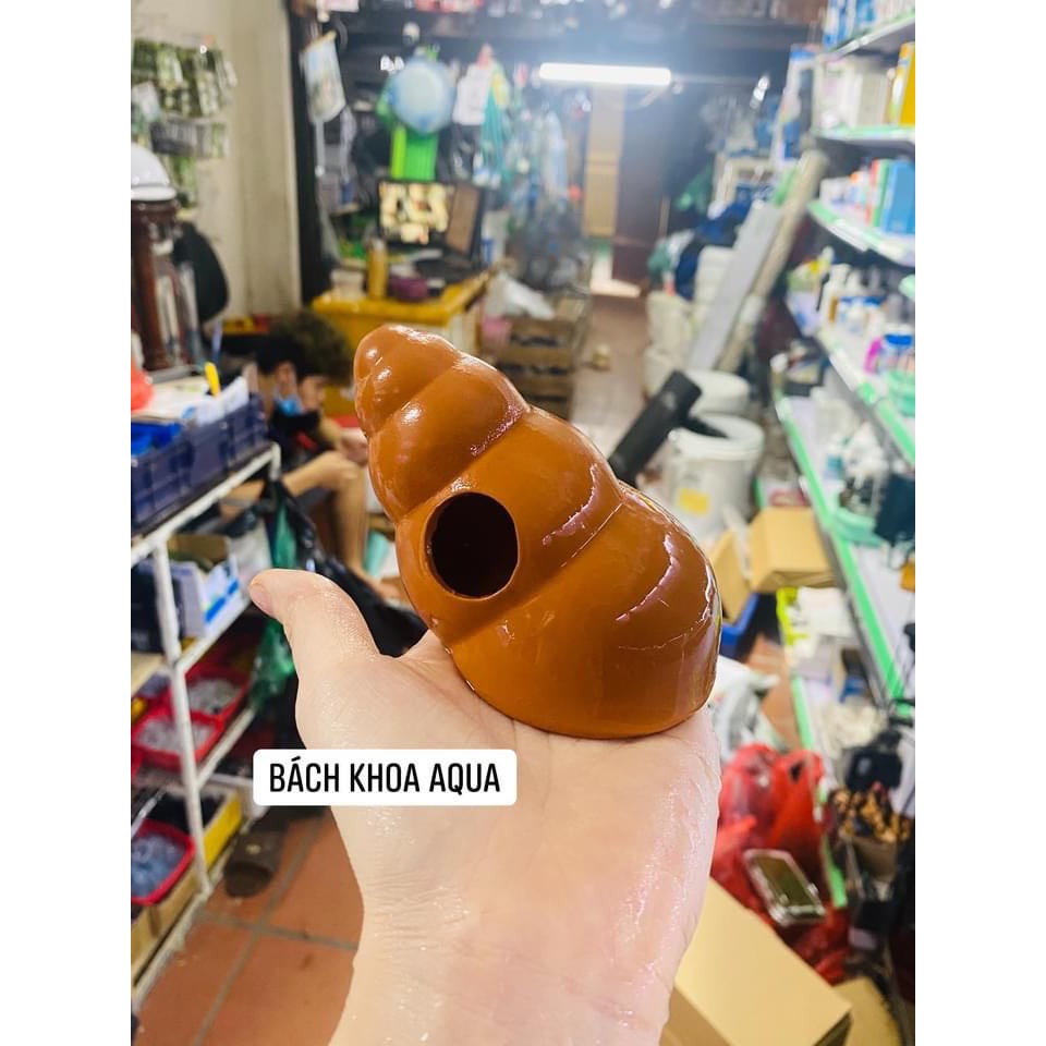 Vỏ ốc bằng gốm cho cá tép