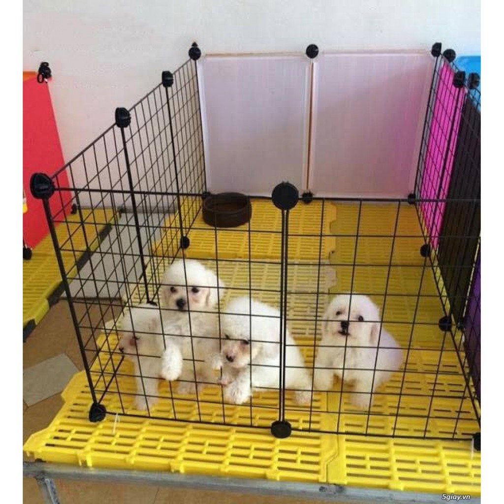 Combo 10 Tấm sắt quây chó mèo 35x35cm + 20 chốt nhựa - jpet shop
