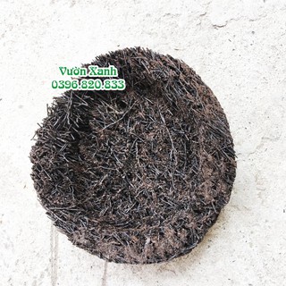 --- Dớn tròn ghép lan KT 20x5cm chất, giá rẻ.