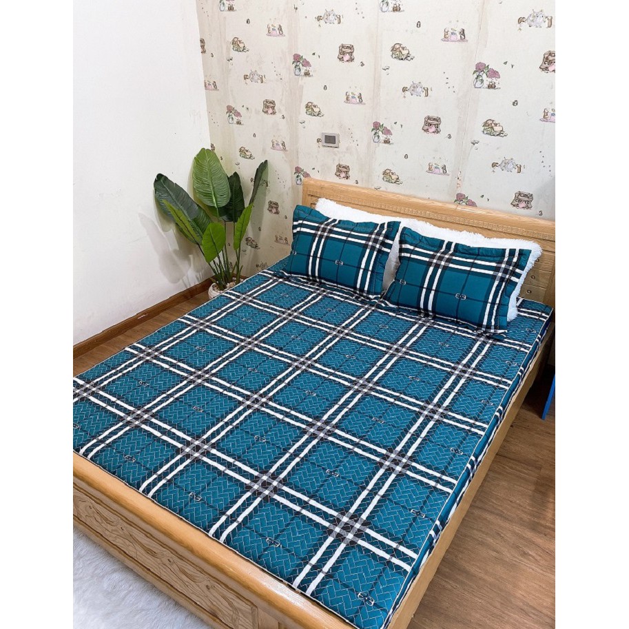 Bộ ga chun trần cotton kèm vỏ gối (1.8*2m)