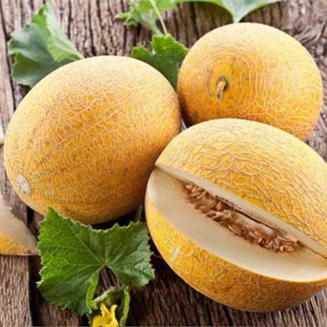 Hạt giống dưa lưới da vàng (tặng phân)