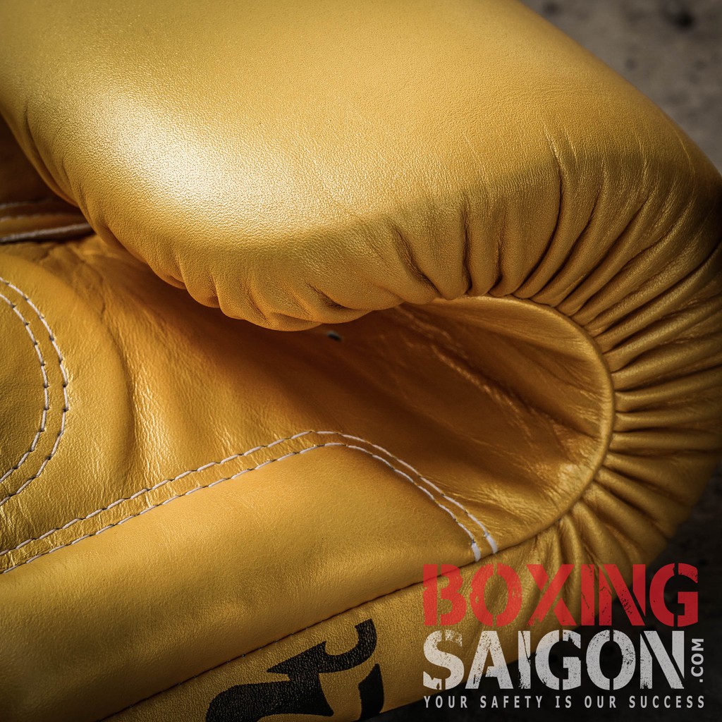 Găng tay boxing Fairtex BGV1 Falcon