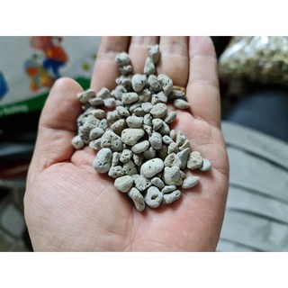 combo đất perlite akadama pumice peatmoss