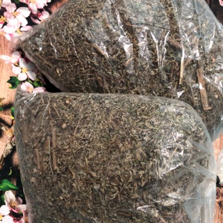 500gr Ngải Cứu Cây+Lá Khô
