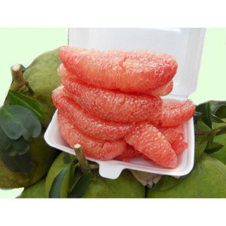 Cây bưởi đỏ tân lạc
