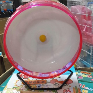 Wheel size 21 kèm đế