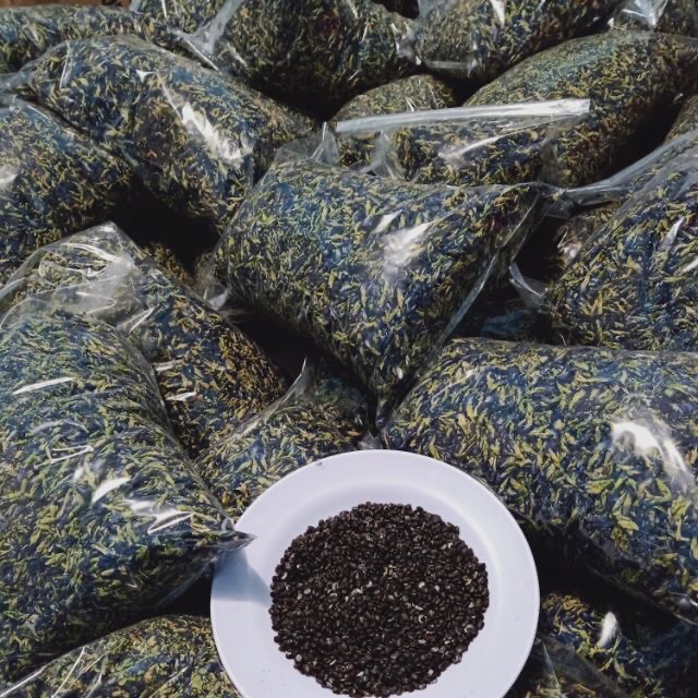100g Hoa Đậu Biếc khô, nguyên bông 100% loại 1