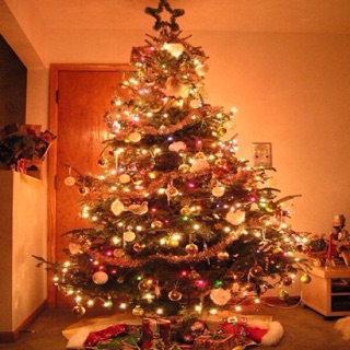 combo 2 bộ đèn led nhấp nháy 5m màu gì cũng có