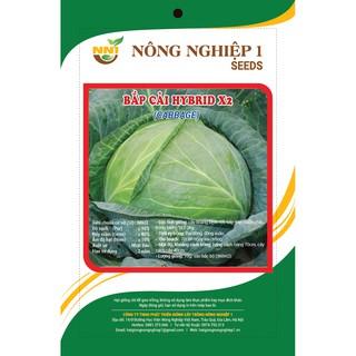 HẠT GIỐNG BẮP CẢI HYBRID 2g