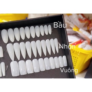 MÓNG UP NHỌN JIELIYA