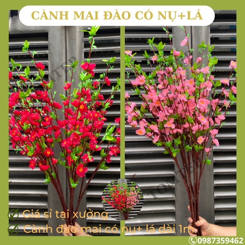 Giá xưởng combo 10 cành hoa đào, hoa mai có nụ và lá